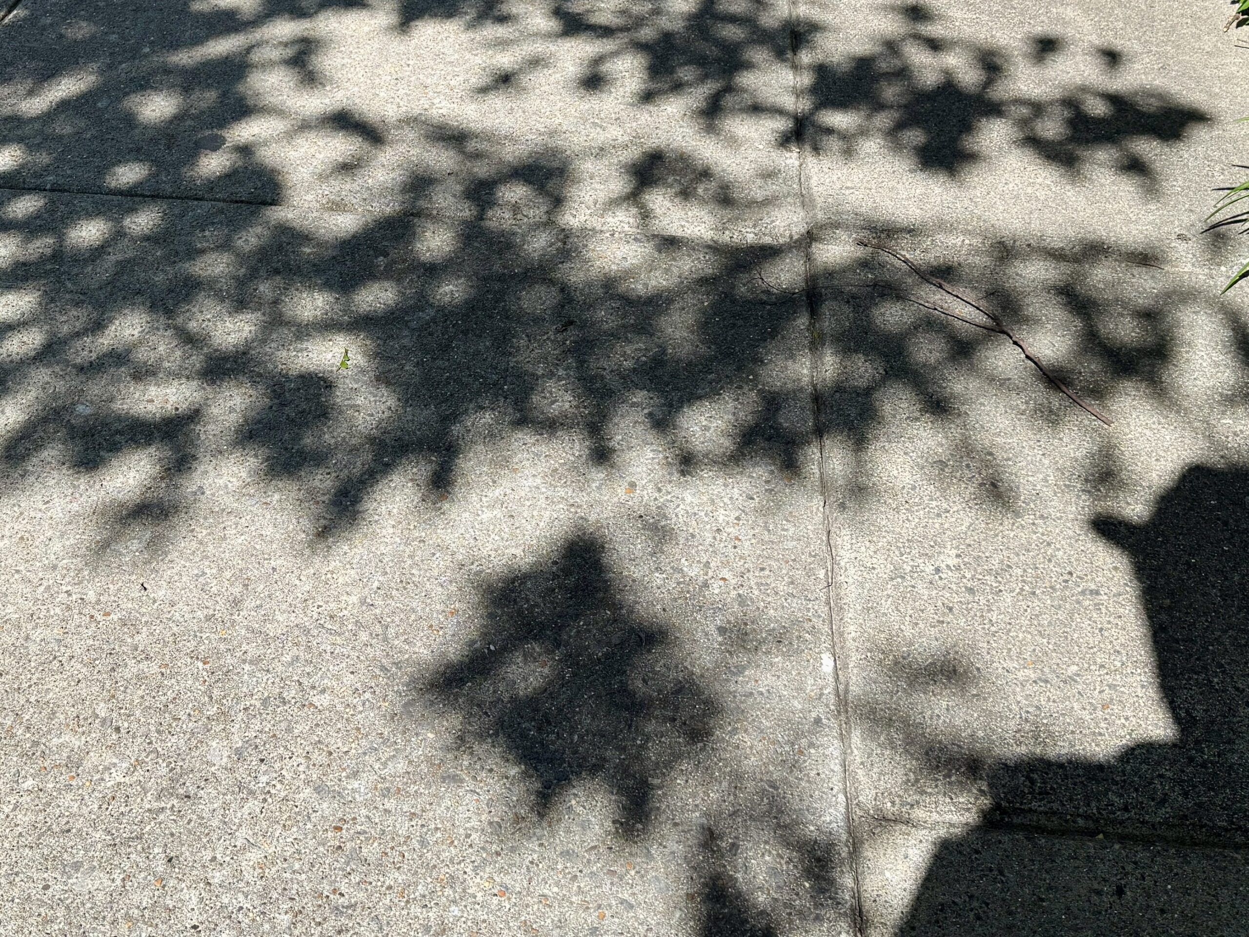 is darkness a problem or a pathway?